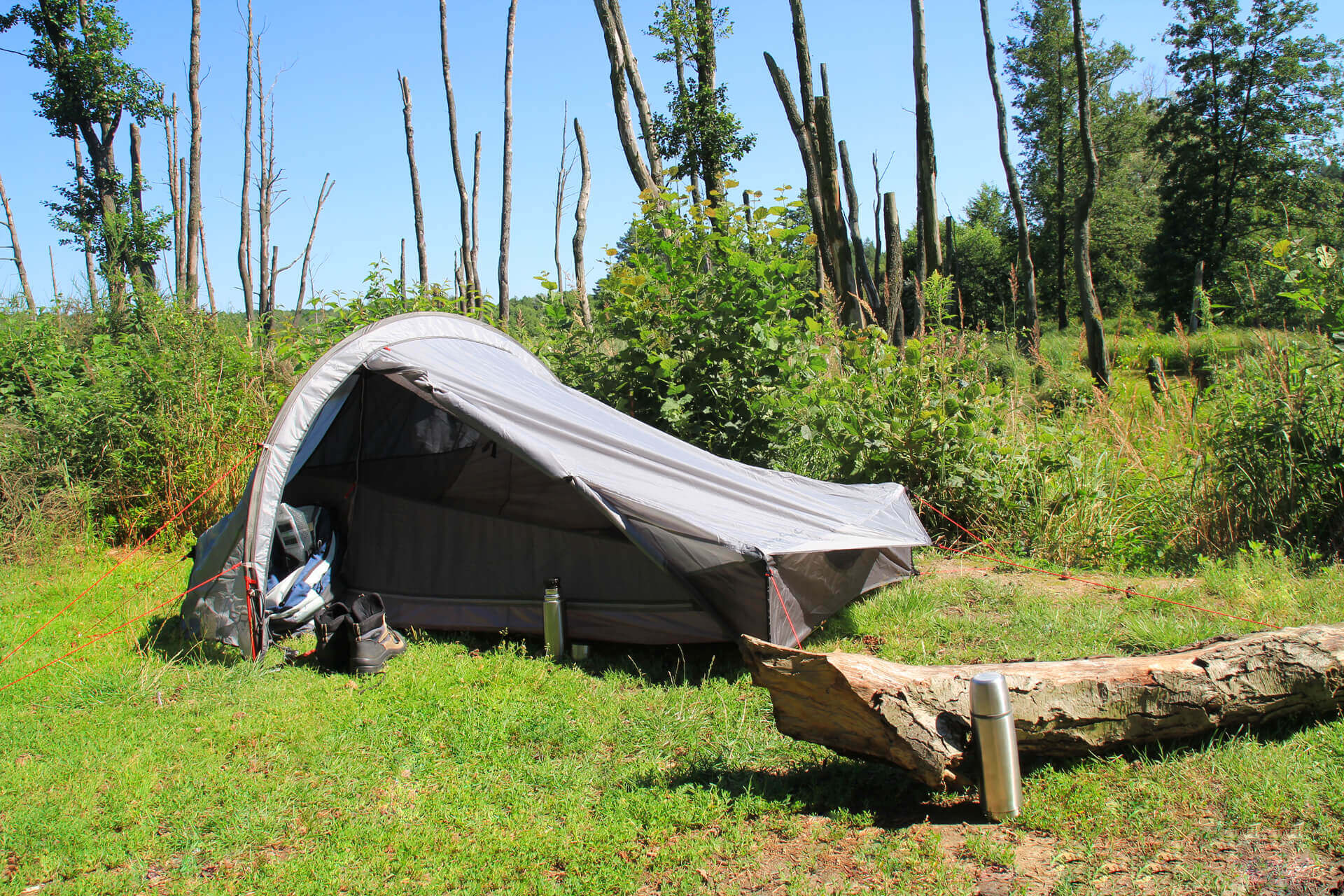 Tent namiot open