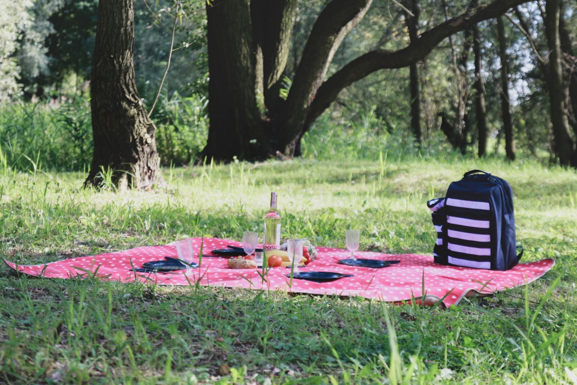 inspiracja piknik w parku rezencja hellocamping